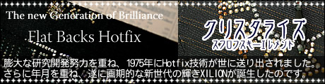 ������ե������饤�󥹥ȡ��󡡥ۥåȥե��å���
