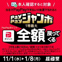 paypayバナー