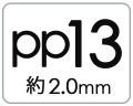 pp13