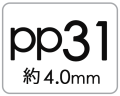 pp31